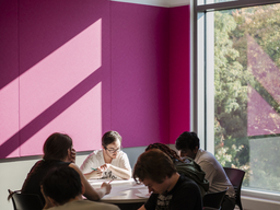 A group of students working at a table