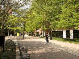 A picture of UMBC campus