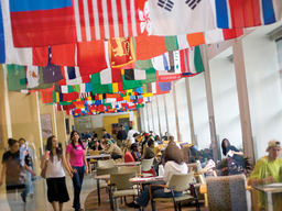 photo of the flags in the commons
