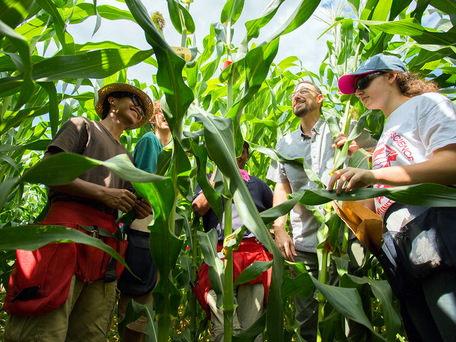 Plant scientist. About Plants. School of Agriculture and food Sciences. Fake News about Plants made by pupils.