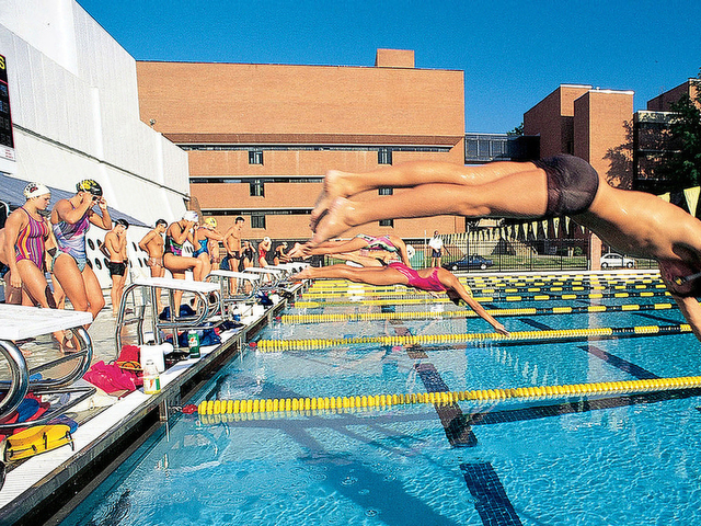 Join Swim Club for a Swimming Workout! · Swim &amp; Water Polo